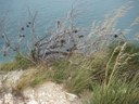 IMG_2374-small.JPG